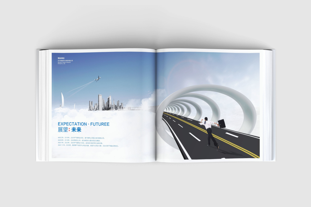 河东区画册设计